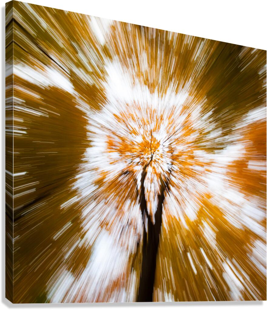 Autumn Explosion Canvas Print