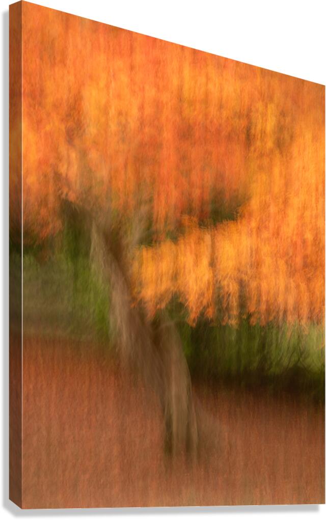 Autumn in Motion Canvas Print