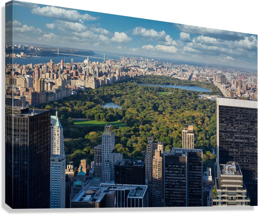 Central Park Canvas Print