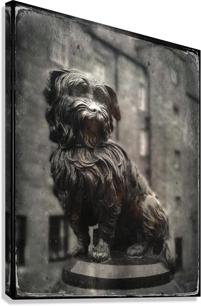 Greyfriars Bobby Canvas Print