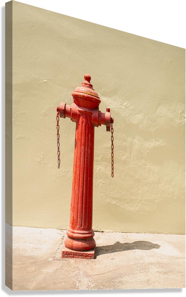 Penang Fire Hydrant Canvas Print