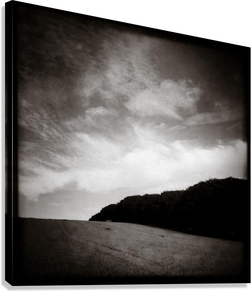 Forests Edge Canvas Print