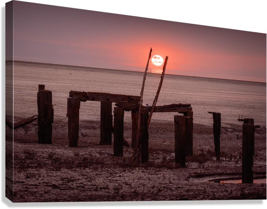 Grasping the Sun Canvas Print