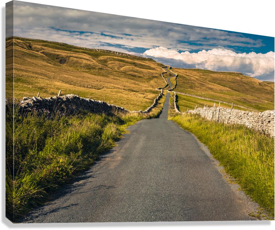 Road Through the Dales Canvas Print