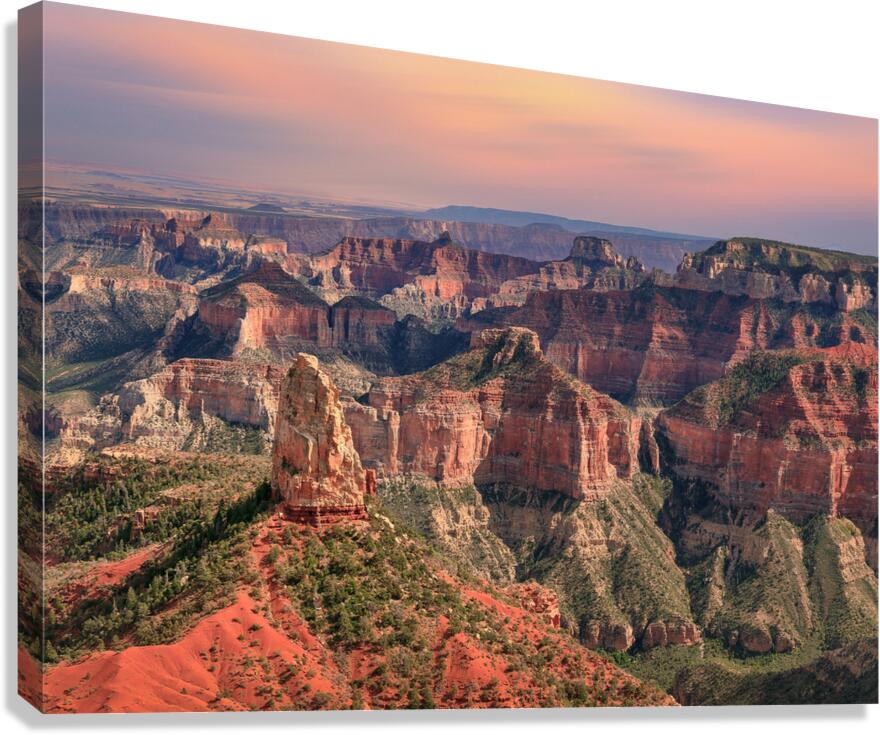 North Rim View Canvas Print