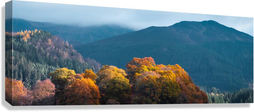Autumn at Tay Forest Park Canvas Print