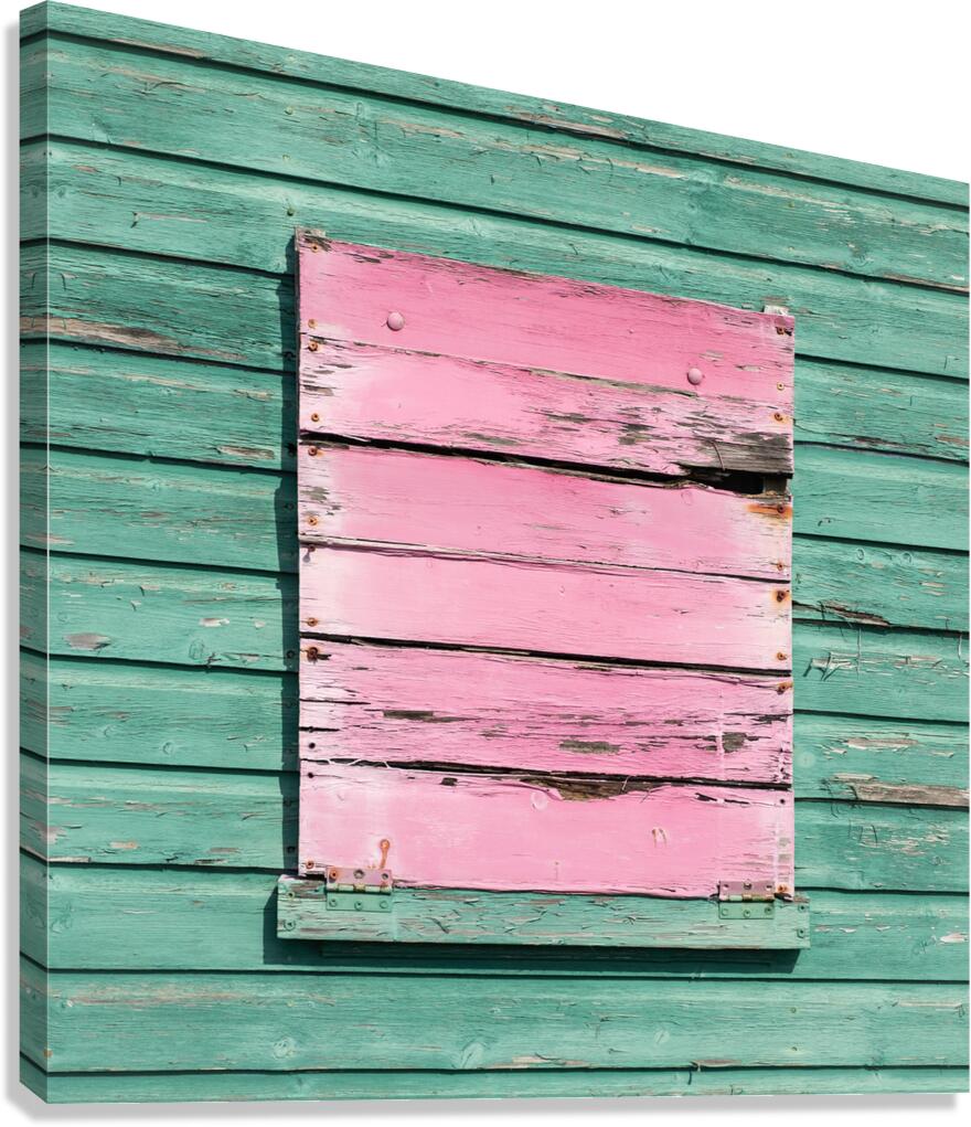 Pink Panel Canvas Print