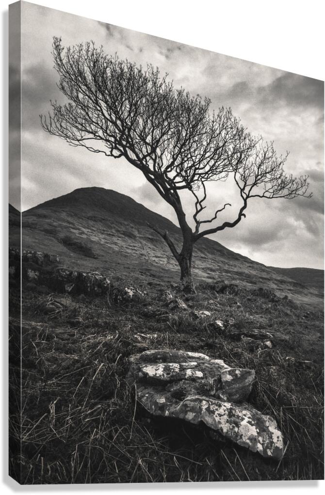 Mull Solitude Canvas Print