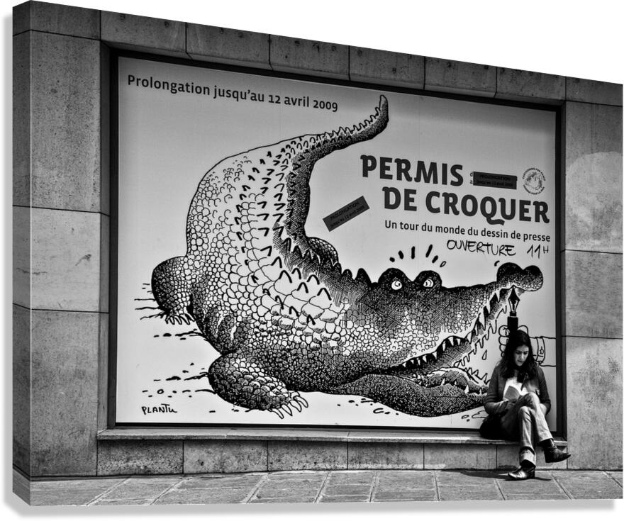 The Pen is Mightier than... Canvas Print