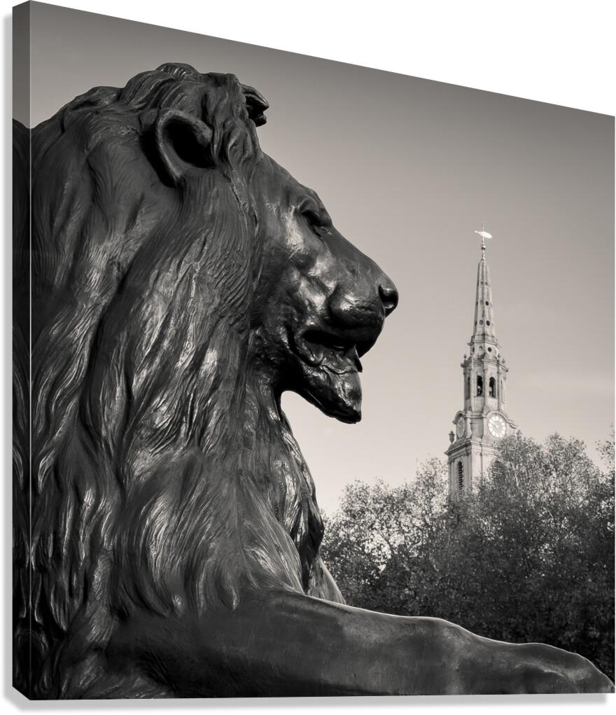 Trafalgar Square Lion Canvas Print