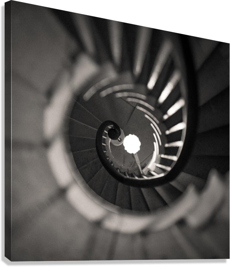 Plas Newydd Spiral Staircase Canvas Print