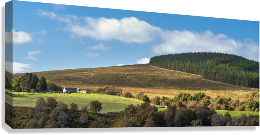 Late Summer in the Cairngorms Canvas Print