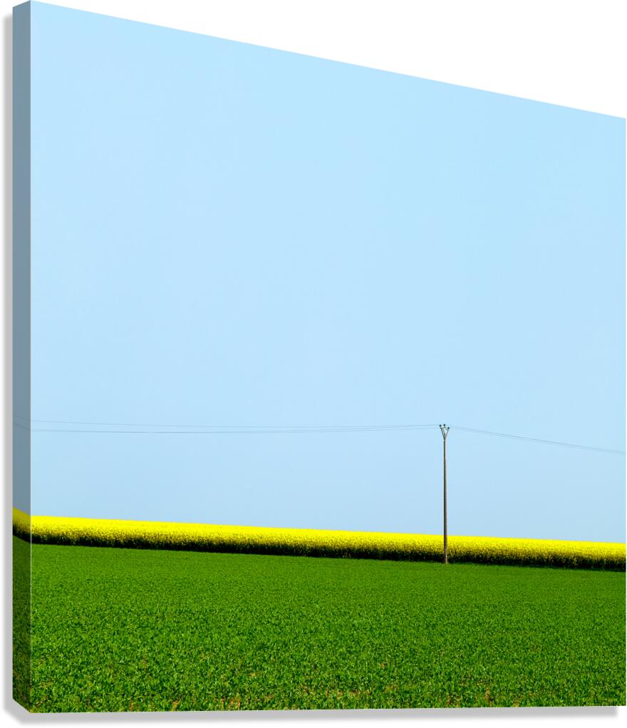 Mustard Sandwich Canvas Print