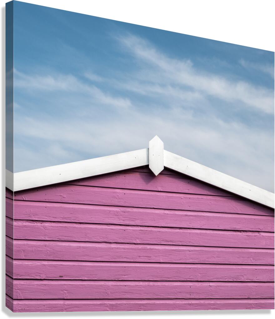 Magenta Divide Canvas Print