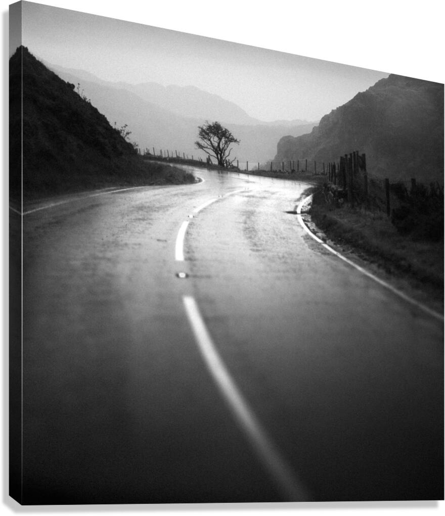 A Wet Day in Snowdonia Canvas Print