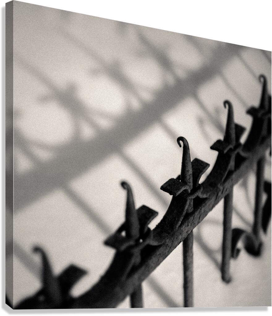 Rusty Railings Canvas Print