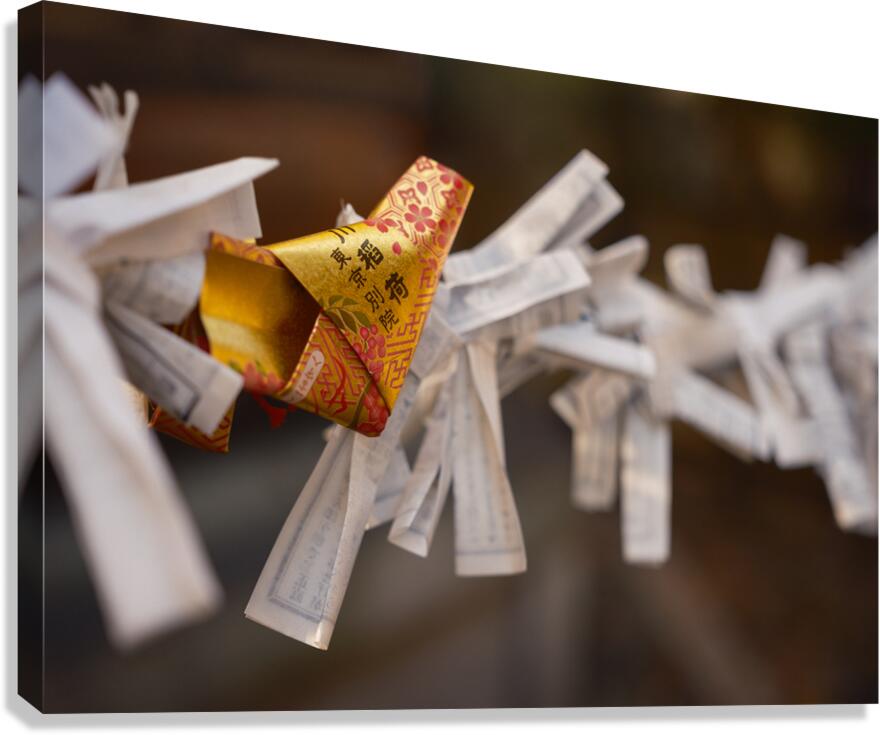 Golden Omikuji Canvas Print