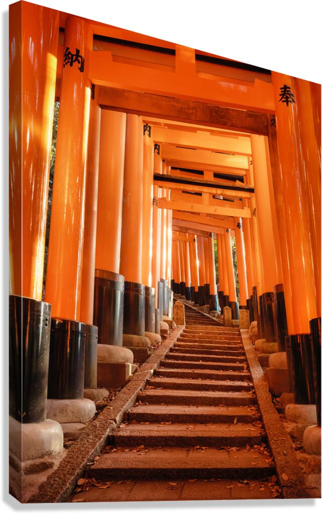 Torii Ascent at Fushimi Inari Canvas Print