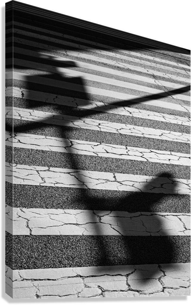 Tokyo Crossing Canvas Print