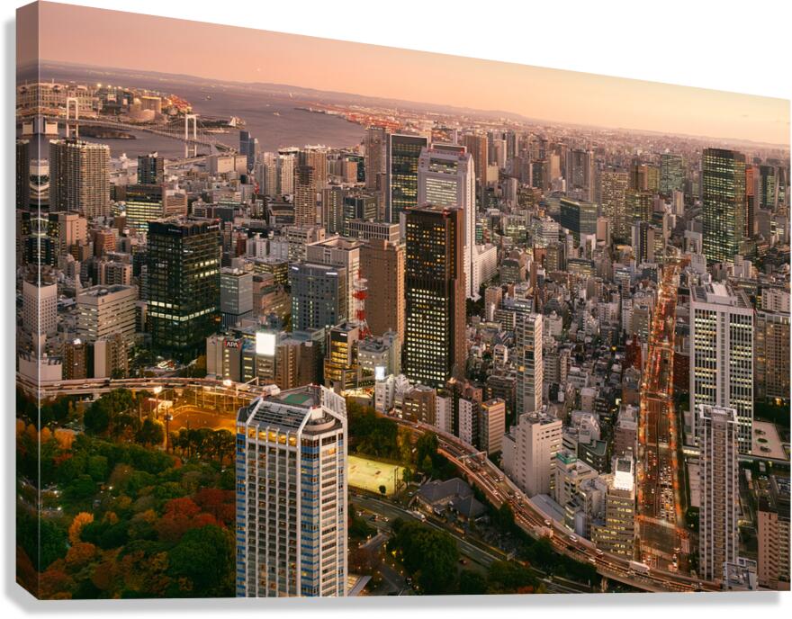 The Heart of Minato Canvas Print