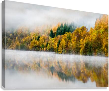 Autumn Mist Canvas Print