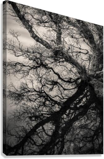 Lochan Na Cuilce Reflections Canvas Print