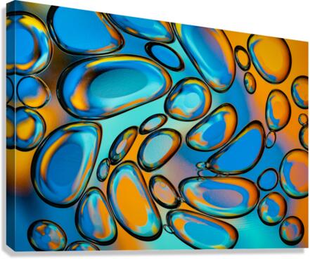 Bubbles I Canvas Print
