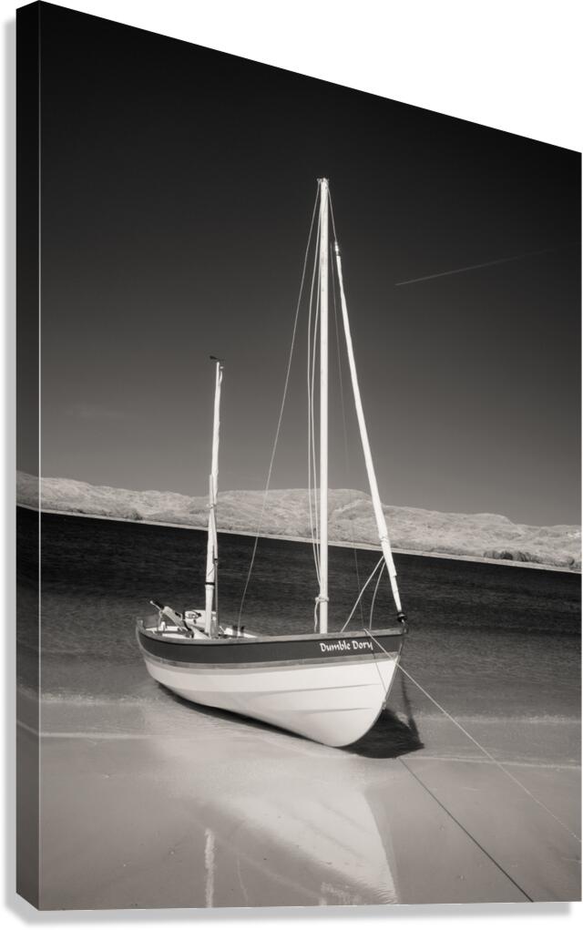 Dumble Dory Canvas Print