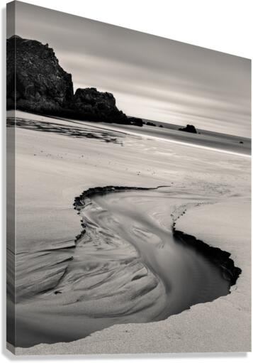 Beach Rivulet Canvas Print