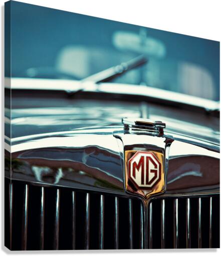 Classic Marque Canvas Print
