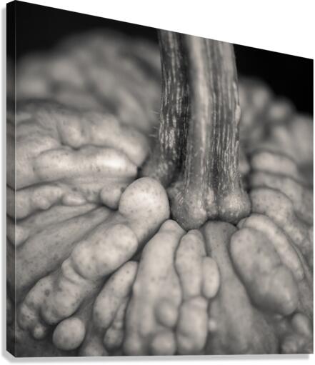 Knucklehead Pumpkin Canvas Print