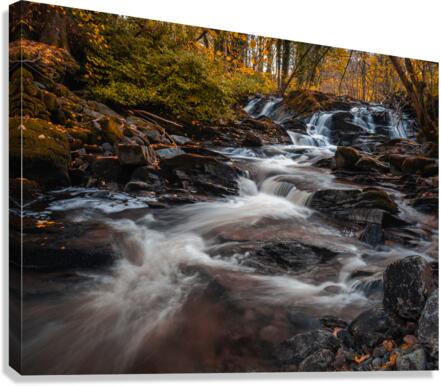 Ardeonaig Burn Canvas Print
