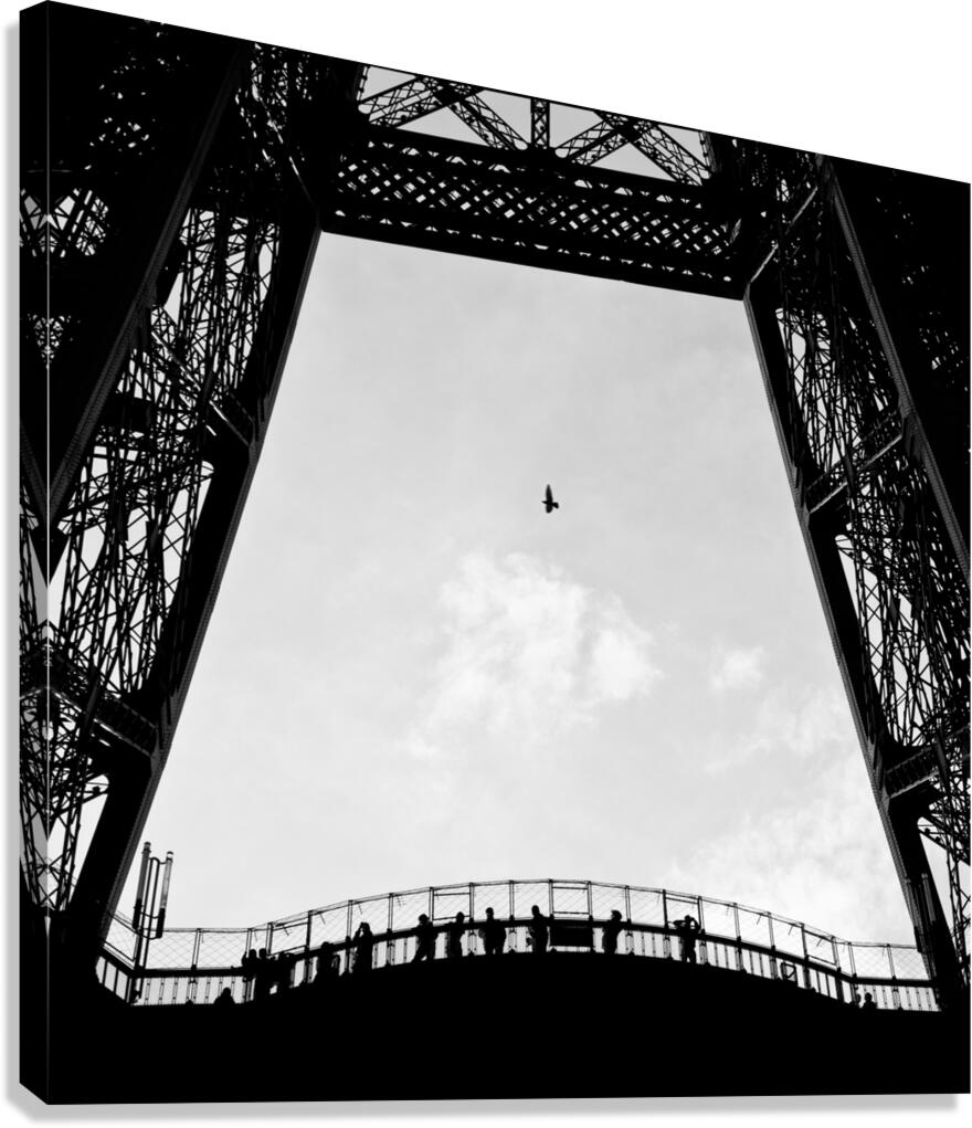 Birds-Eye View Canvas Print