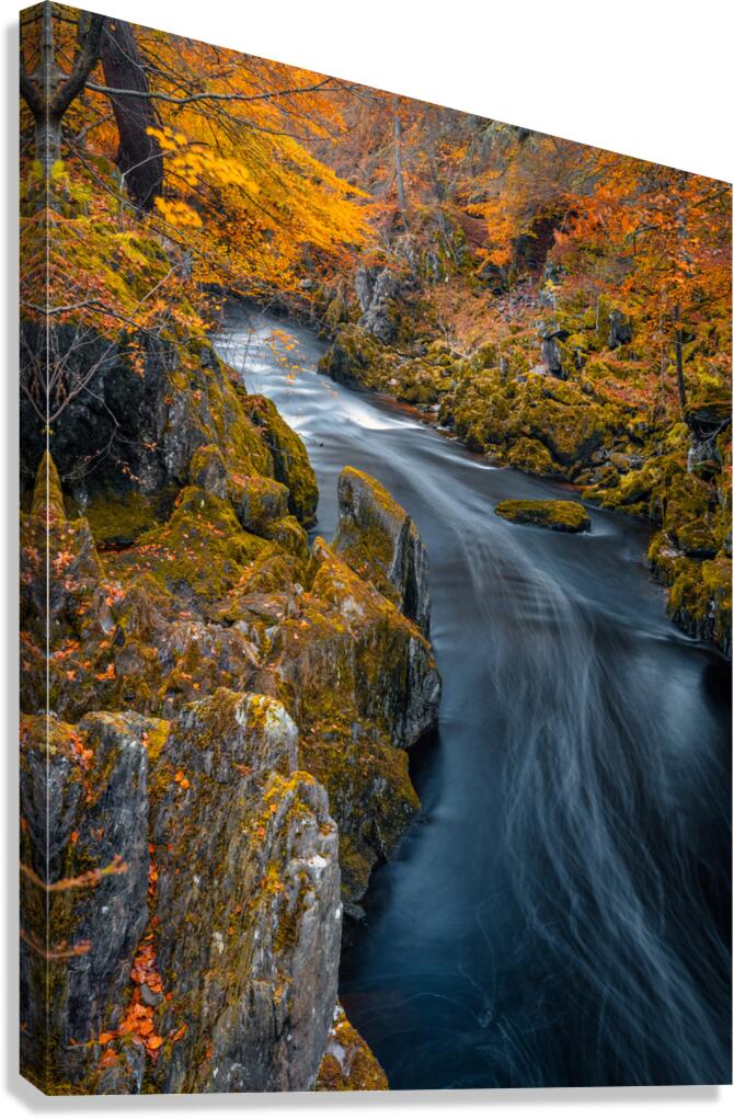 River Esk at Autumn Canvas Print