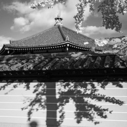 Shadows at Shitennoji Temple