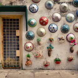 Ipoh Hats and Blooms