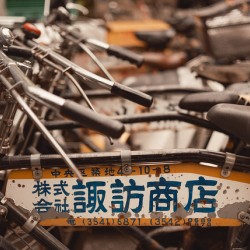 Fish Market Bicycles