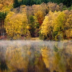 Autumn on River Tummel