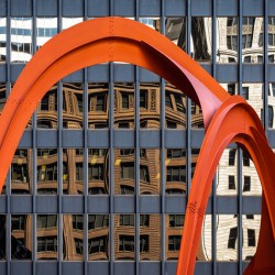 Flamingo Reflections