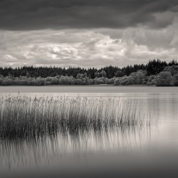 Lake of Menteith