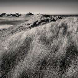 Rattray Head Dunes
