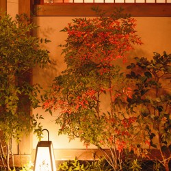 Garden Lantern