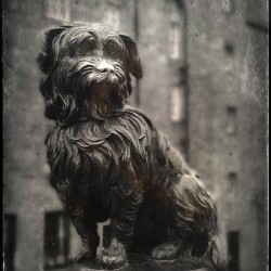 Greyfriars Bobby