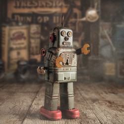 Toy Robot