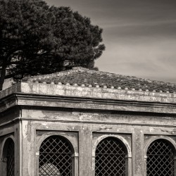 Farnese Aviary