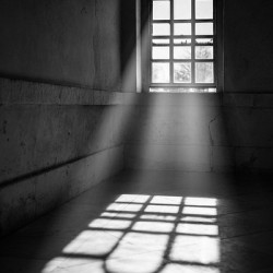 Temple of Venus Window