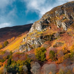 Autumn at Craigower