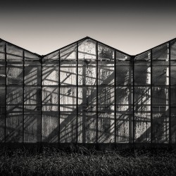 Greenhouse Shadows