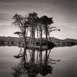 Loch Assynt Reflection II