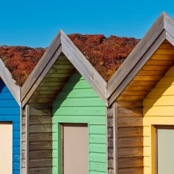 Blyth Beach Huts